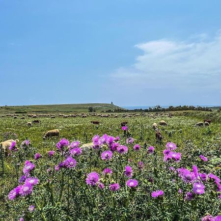 Casetta Degli Ulivi Uggiano la Chiesa Kültér fotó
